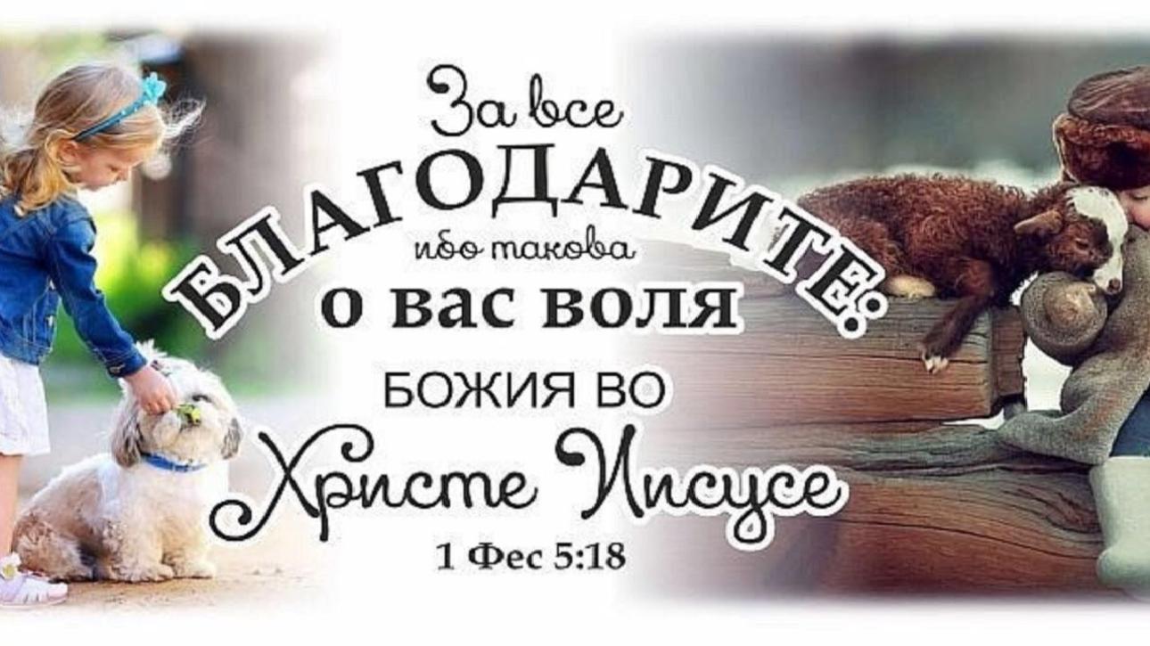 БЛАГОДАРНОСТЬ БОГУ